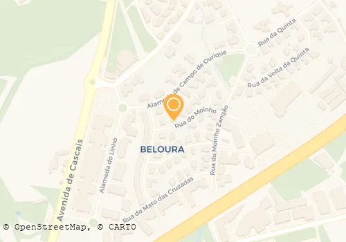 SOCIEDADE AGRO PECUÁRIA QUINTA MOINHOS LDA