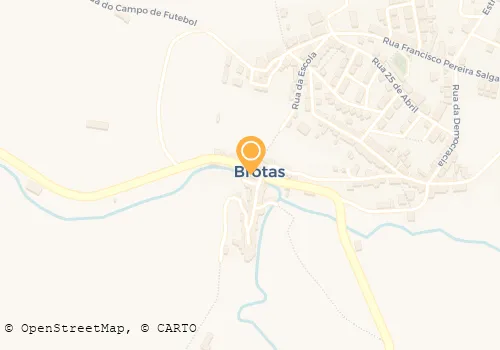 PEDRO M PINHEIRO MENDONÇA