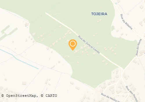 GRUPO VANGUARDA CAMPISMO