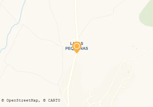 CLÍNICA VETERINÁRIA SÃO GONÇALO DE LAGOS LDA