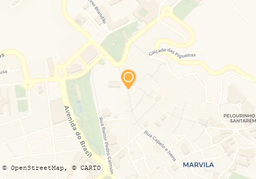 SAPATARIA CELTA