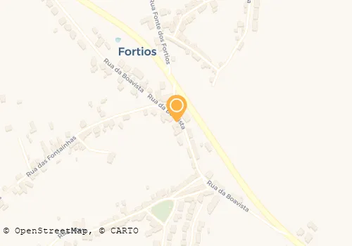 INÊS R M GUEDELHA RELVAS