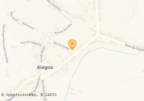 FLORINDA C MARGALHO MARTINS