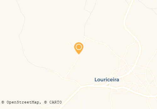 FRANCISCO JOSÉ CARDOSO CORREIA GORJAO