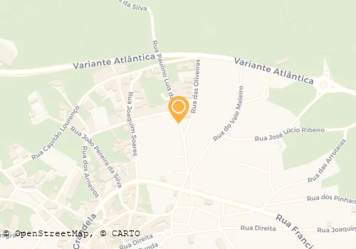 JOSÉ MANUEL H PEREIRA