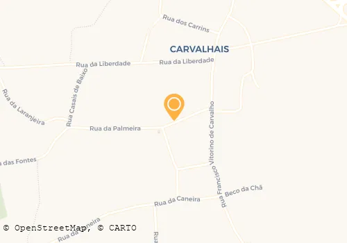 SOCIEDADE ARTÍSTICA MUSICAL CARVALHENSE