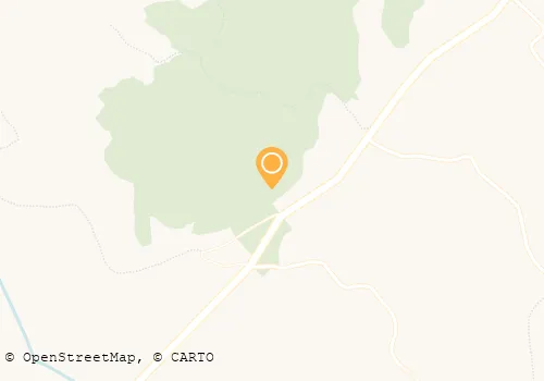 MARIA P TELES CALHEIROS