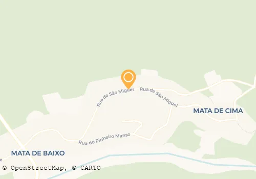 CARLOS A MARTINS ROSA