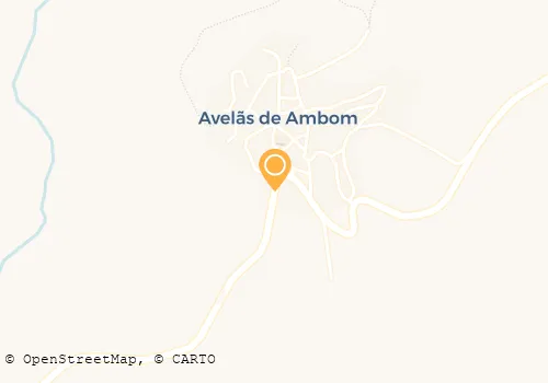 ASSOCIAÇÃO P/ A PROMOÇÃO SOCIAL,CULTURAL E AMBIENTAL DE AVELÃS DE AMBOM