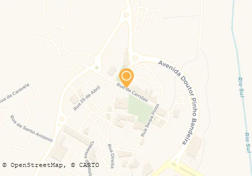 TÁXIS ANTRAL DE SÃO PEDRO SUL