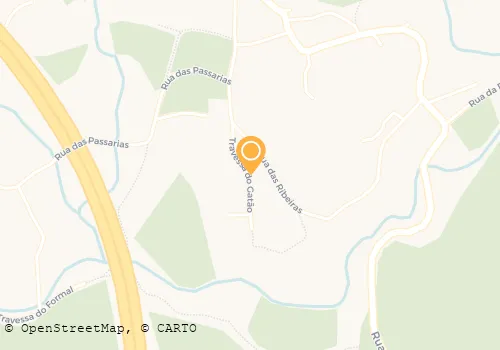 MANUEL CASTRO PINHEIRO