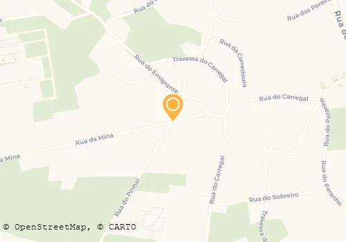 DOMINGOS DE OLIVEIRA ARAÚJO LDA