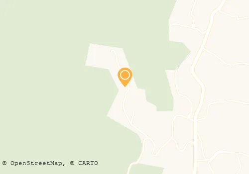 FREGUESIA DE AMARANTE,SÃO GONÇALO,MADALENA,CEPELOS E GATÃO