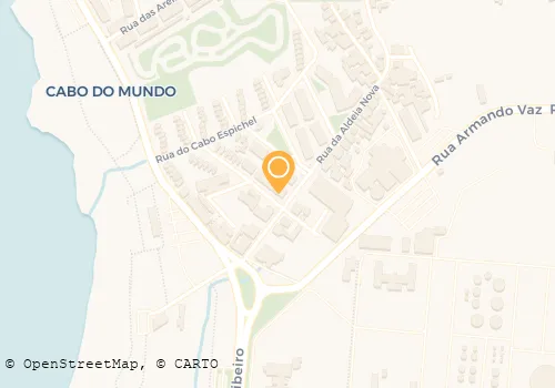 PAULO A PINTO PEREIRA