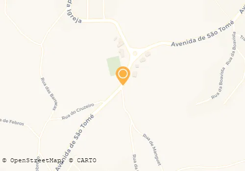 RIBEIRO AGOSTINHO MARTINS