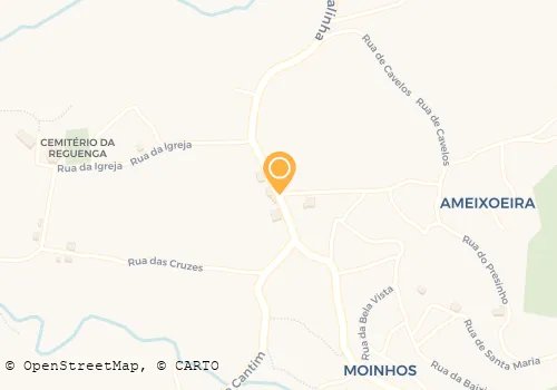 VASCO M CARNEIRO QUINTAS