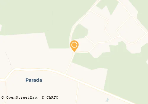 ADELINO P SILVA PEREIRA