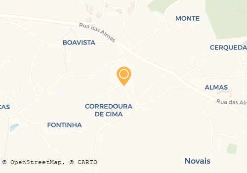 FERREIRA SILVA & SILVA COSTA LDA