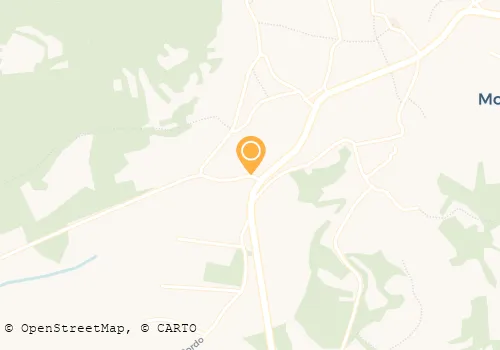 MARIA FÁTIMA HENRIQUES