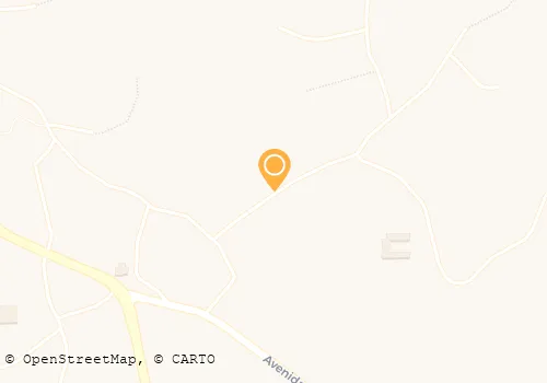 ANTÓNIO J GONÇALVES LOPES