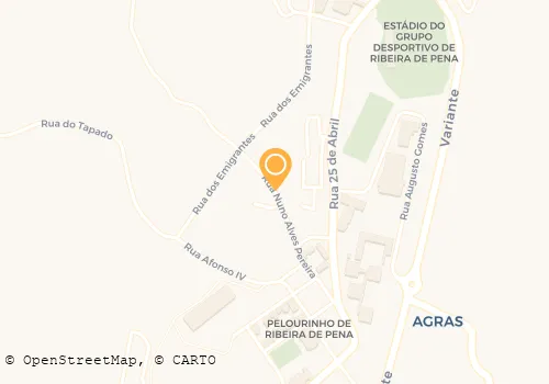 JOÃO A N RODRIGUES CARVALHO