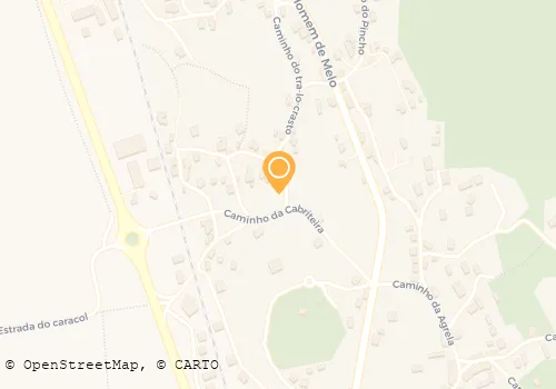 IRMÃOS GONÇALVES ALVES-PLANTAÇÃO E MANUTENÇÃO FLORESTAL LDA