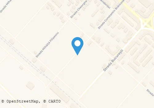 Hartă