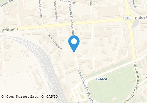 Hartă