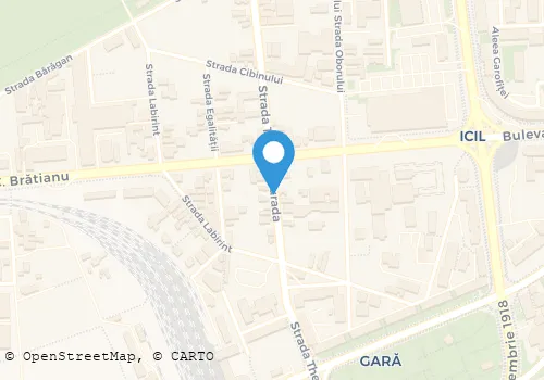 Hartă