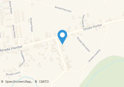 Hartă