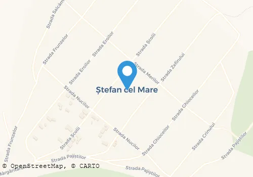 Hartă