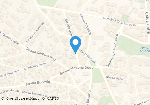 Hartă
