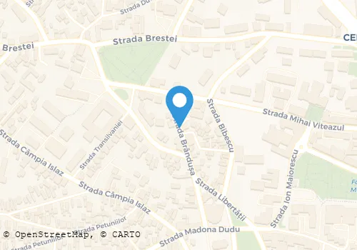 Hartă