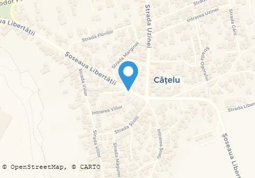 Hartă