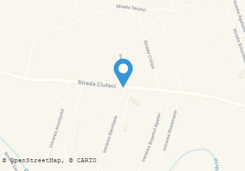 Hartă