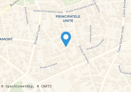 Hartă