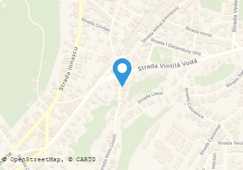 Hartă