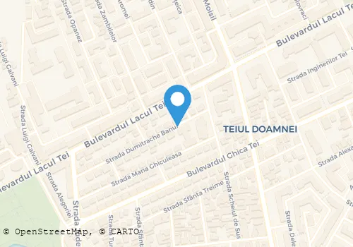Hartă