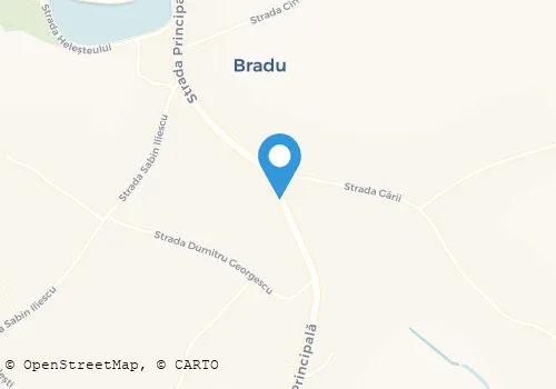 Hartă