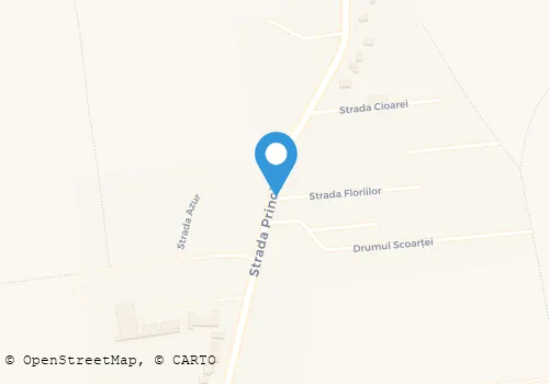 Hartă