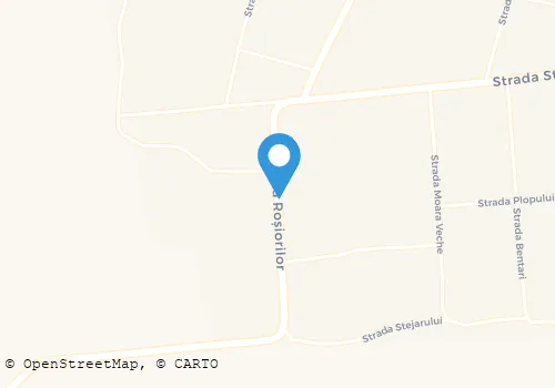 Hartă