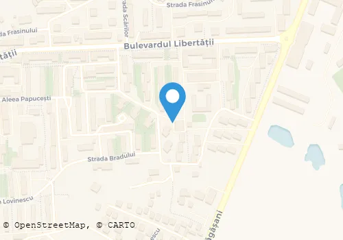 Hartă