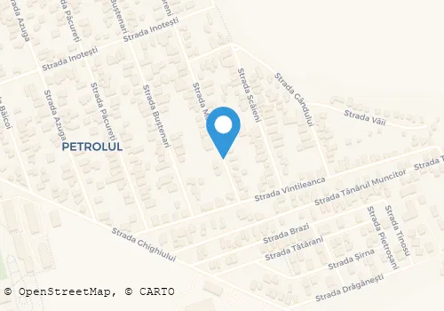 Hartă