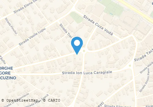 Hartă