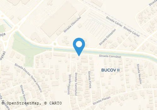Hartă
