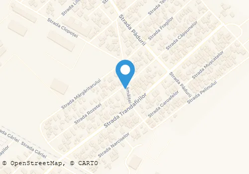 Hartă