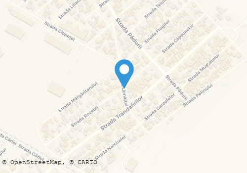 Hartă