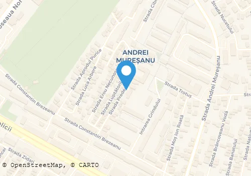 Hartă