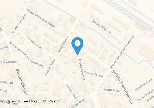 Hartă