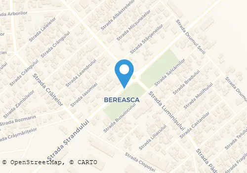 Hartă